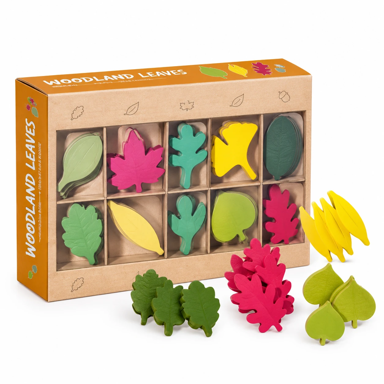 Wooden Leaf Learning Set